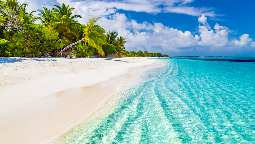 Beautiful,Beach,With,Palm,Trees,And,Moody,Sky.,Summer,Vacation